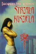 Polish edition cover