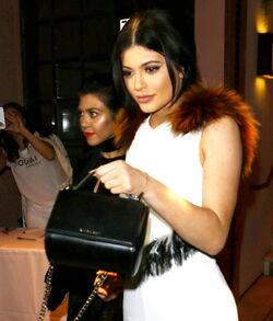 Get Kendall Jenner's new favourite bag: Givenchy Pandora leather