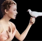 Darling Shoot 1.jpg (56 KB)