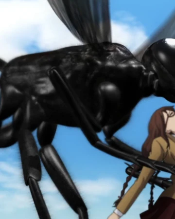 Giant Ammophila The Island Of Giant Insects Wiki Fandom A sequel series called dai kyochuu rettou was started in 2019, showing oribe and her allies' escapades after escaping the original island. the island of giant insects wiki