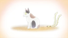 Nekomata Plug