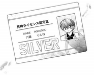 Rinne's Silver License