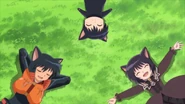 Black Cats Dreaming