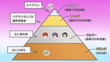 License Ranks