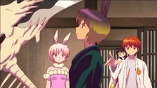 The Twin Rabbits