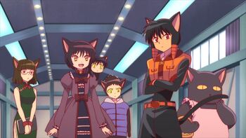 Suzu-Rokumon-Oboro-cats