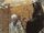 Blood of the Caliph