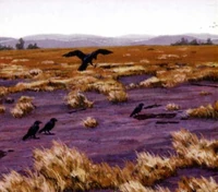 Nani-aku Heitai Heigen