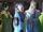 Courtier