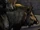 Boar/Meta