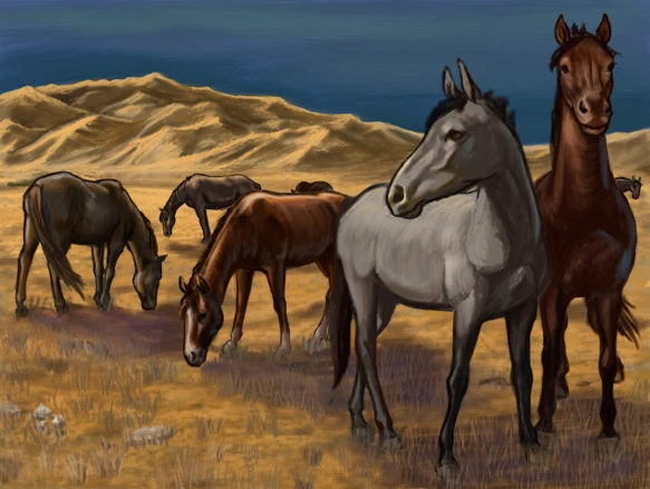 Ivinda Village | L5r: Legend of the Five Rings Wiki | Fandom