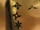 Shuriken