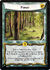 Forest-card8