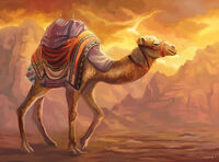 Camel 3