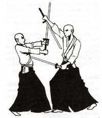 Niten 1