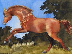 Utaku steed