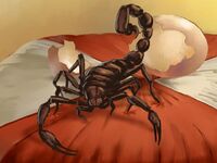 Scorpion