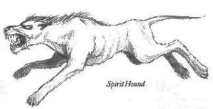 Spirit Hound