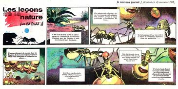 Les Leçons de la Nature - Le Nouveau Journal traduction de Mark Trail de Ed Dodd