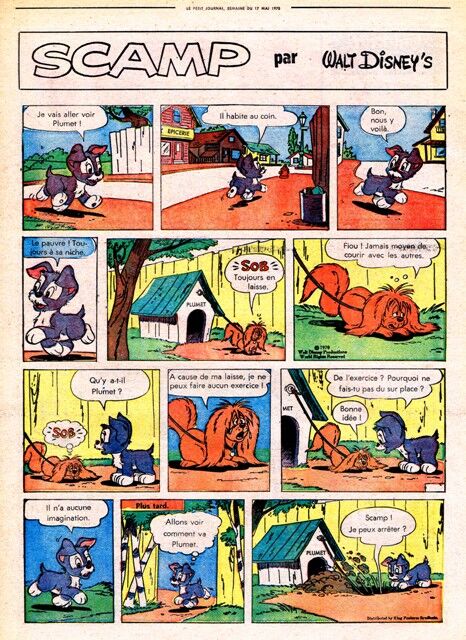 Scamp ptj.jpg