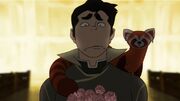 Bolin delusione d'amore