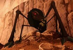 L1 E11 pidocchio gigante