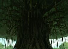 L2 E04 albero banyano