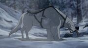 Naga trova Korra 09