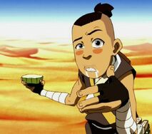 L2 E11 Sokka succo cactus