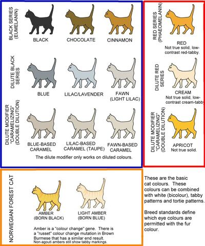 Tableau Cheval  La Déco à Prix Grossiste – Montableaudeco