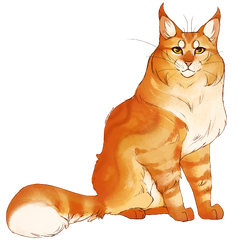 Chats Du Clan Du Tonnerre Wiki La Memoire Des Etoiles Fandom Chats Du Clan Du Tonnerre Wiki La Memoire Des Etoiles Fandom