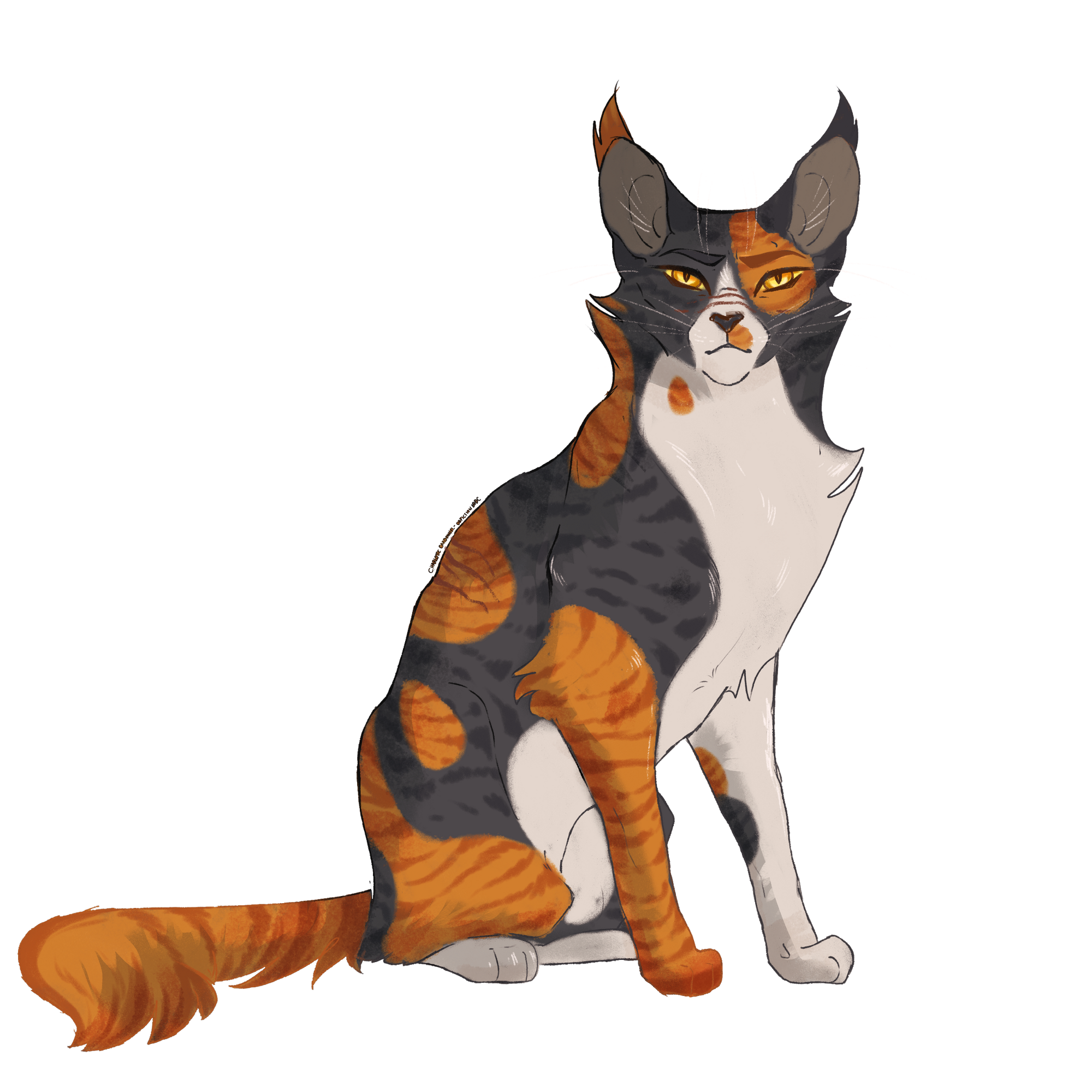 Chats Du Clan Du Vent Wiki La Memoire Des Etoiles Fandom Chats Du Clan Du Vent Wiki La Memoire Des Etoiles Fandom