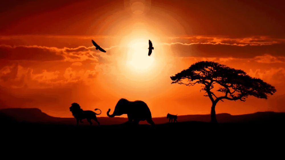 Bravelands Wiki La quête des Ours Fandom