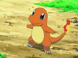 Charmander de Laioned