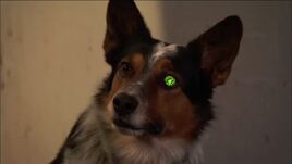 (Bionic Dog)