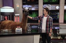 Tumblr mtyn2smiJ61rwlmfro8 500