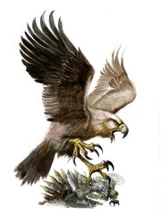 Águila Gigante por Dave Gallagher