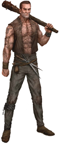 Matón Warhammer JDR 3Ed - Player's Guide