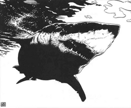 Tiburón por Ralph Horsley