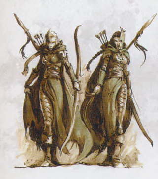 Naestra y arahan defensa del claro de la eternidad.png