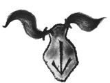 Lengua Nórdica