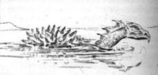 Dibujo Dragón tortuga.jpg