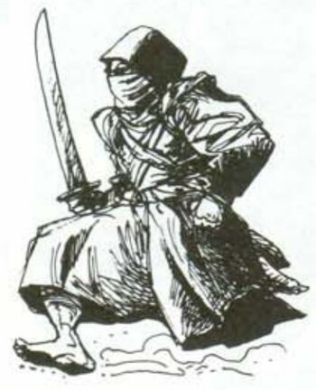 Assesino ninja