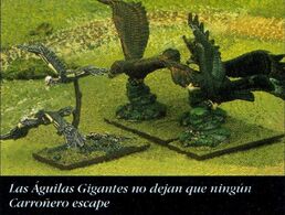 Guilas y carroñeros