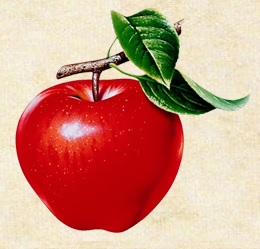 Manzana