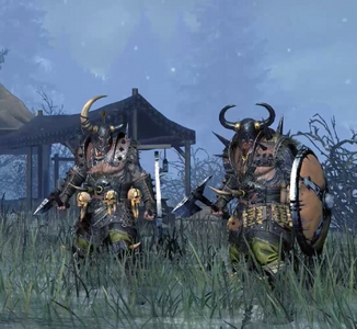 Paladines Bárbaros