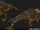 Bastiodon negro warhammer total war por Crystel Land.jpg