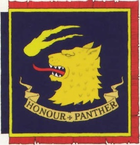 Estandarte Caballeros Pantera 2