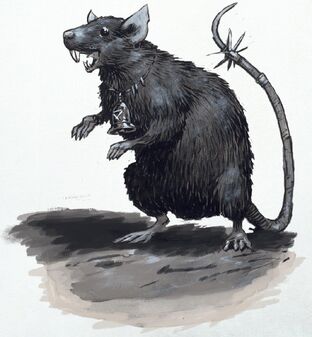 Rata por Ralph Horsley