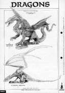 0802dragons.jpg (122 kB)